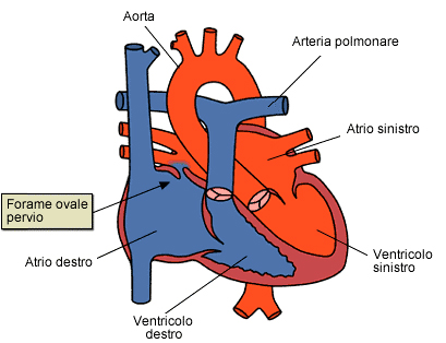 Cardiologia Roma