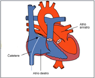 Cardiologia Roma